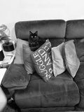 One cat can't have too many cushions. Um, as long.as your comfortable Shadow.