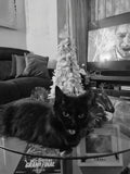 Shadow is being a xmas Scrooge. I crowded her table....... Sorry Shadow, it won't happen again.