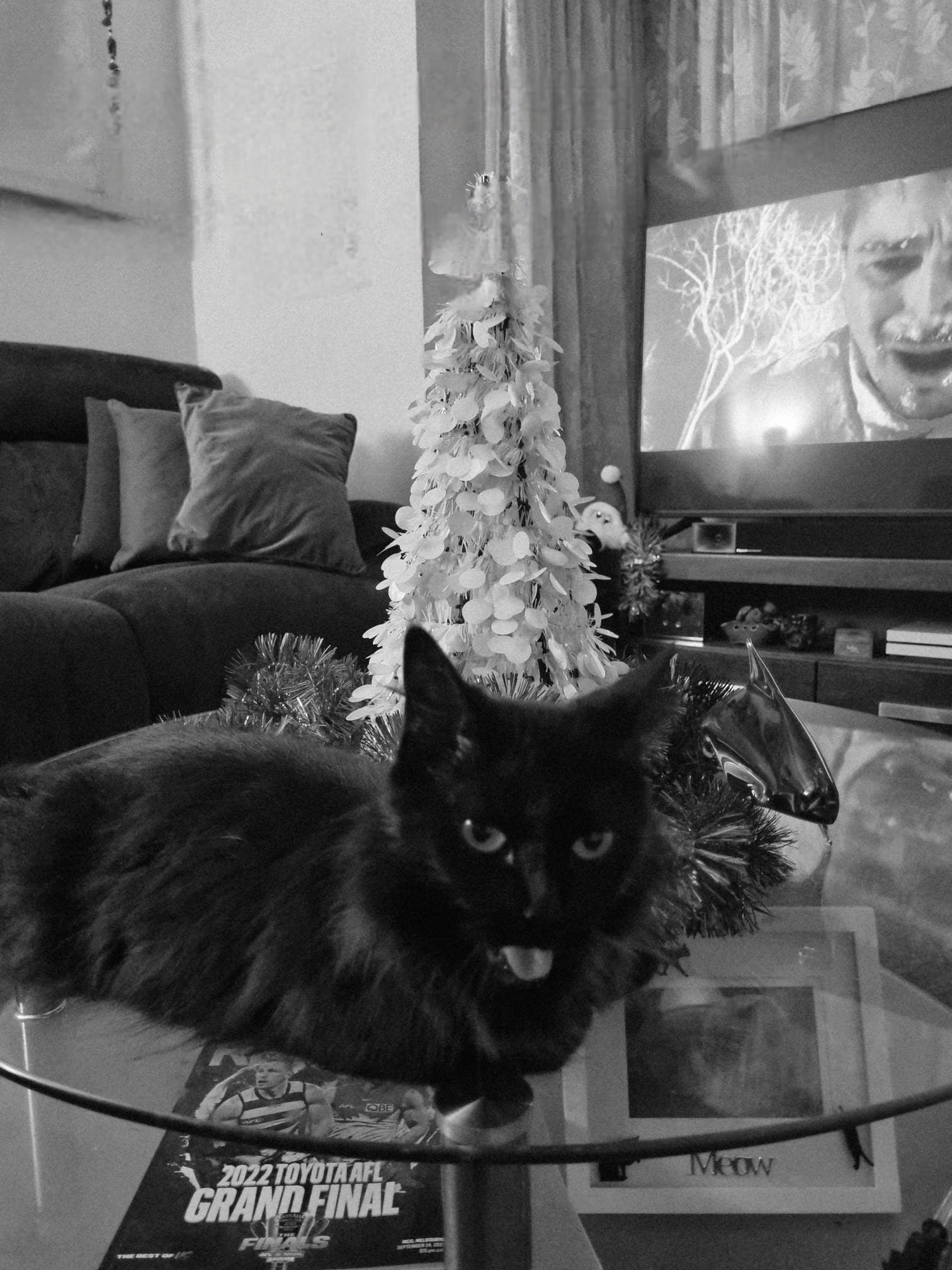 Shadow is being a xmas Scrooge. I crowded her table....... Sorry Shadow, it won't happen again.
