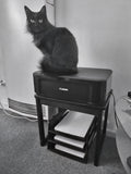 Shadow does all the quality control here. She did jump 3 feet high, when the printer she was sitting on started working. It intrigues her, as she loves paper and cardboard..