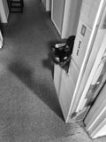 Shadow loves boxes of any shape, or size. Everyday for 8 months Shadow would jump on to this box and flip like a fish out of water. She would meow constantly for me to go over and pat her. Every day multiple times for a year. She worshipped this box..