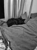 Bamboo pillow covers are so comfortable, even more so than a big fluffy cloud.