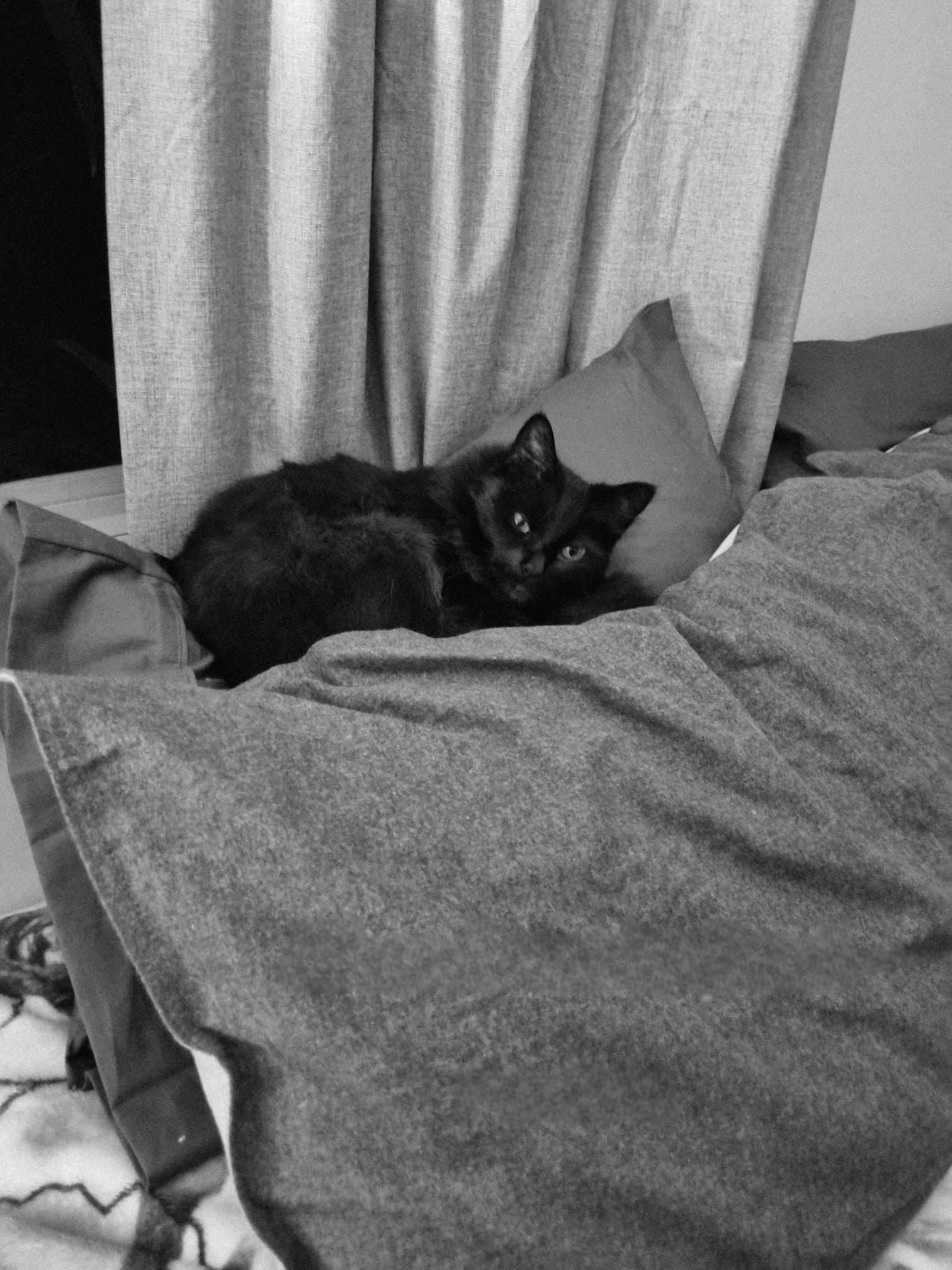Bamboo pillow covers are so comfortable, even more so than a big fluffy cloud.