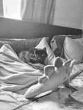 Chilling with the plushies on Liv's bed. She loves this room. When the kids go, she will spend the next 2 weeks sleeping on Liv's bed. She adores the kids and goes through withdrawals when they go back home. She has a huge heart, for a small cat.