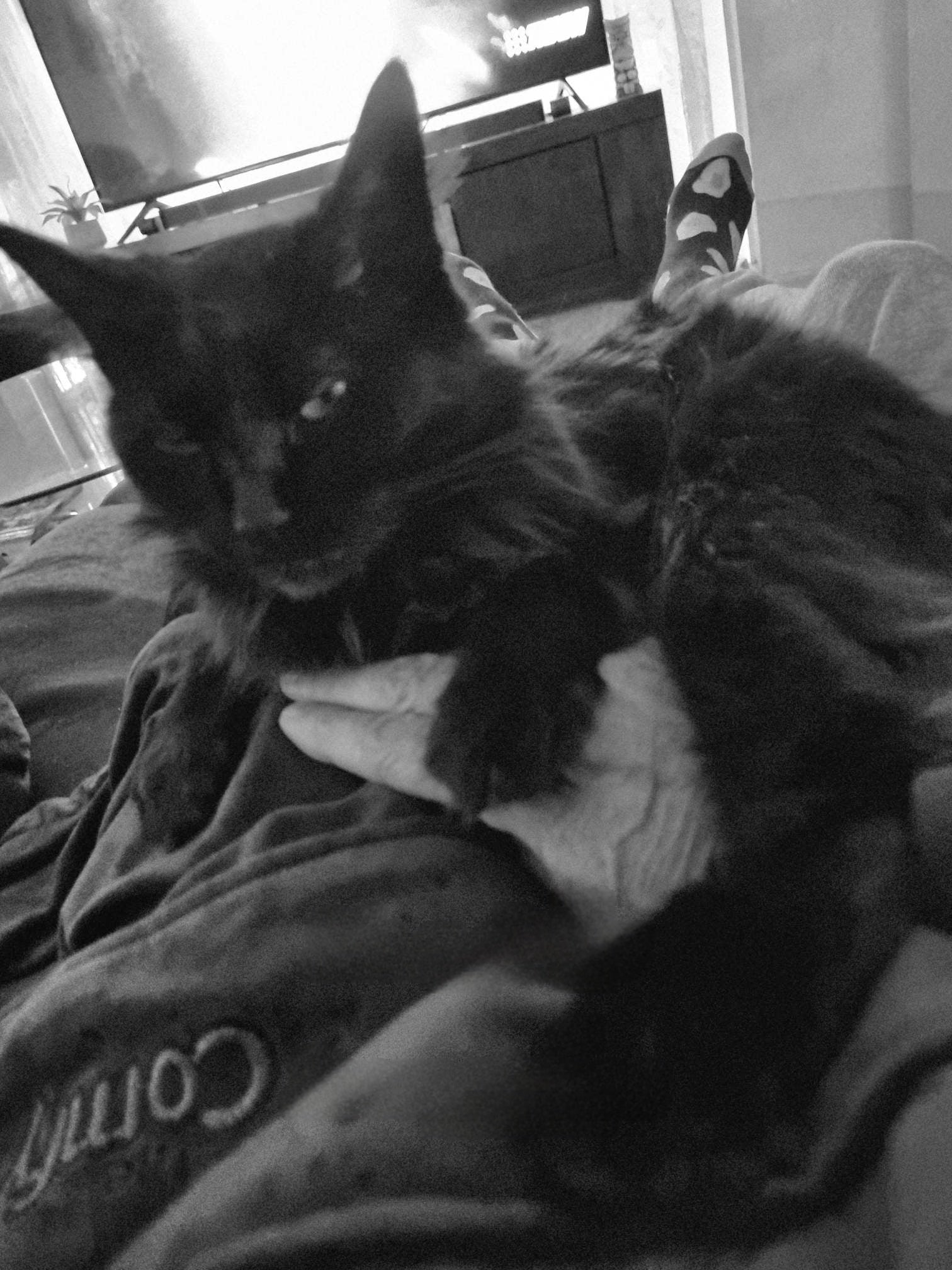 She like to hold her dads hand. It gives her a sense of security.