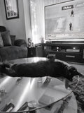 Sorry dad. This table is taken. Maybe we should go shopping for a table for you dad. It seems unfair that the cat has a table and her owner has no table. I mean c'mon dad, we need to eat as a family.