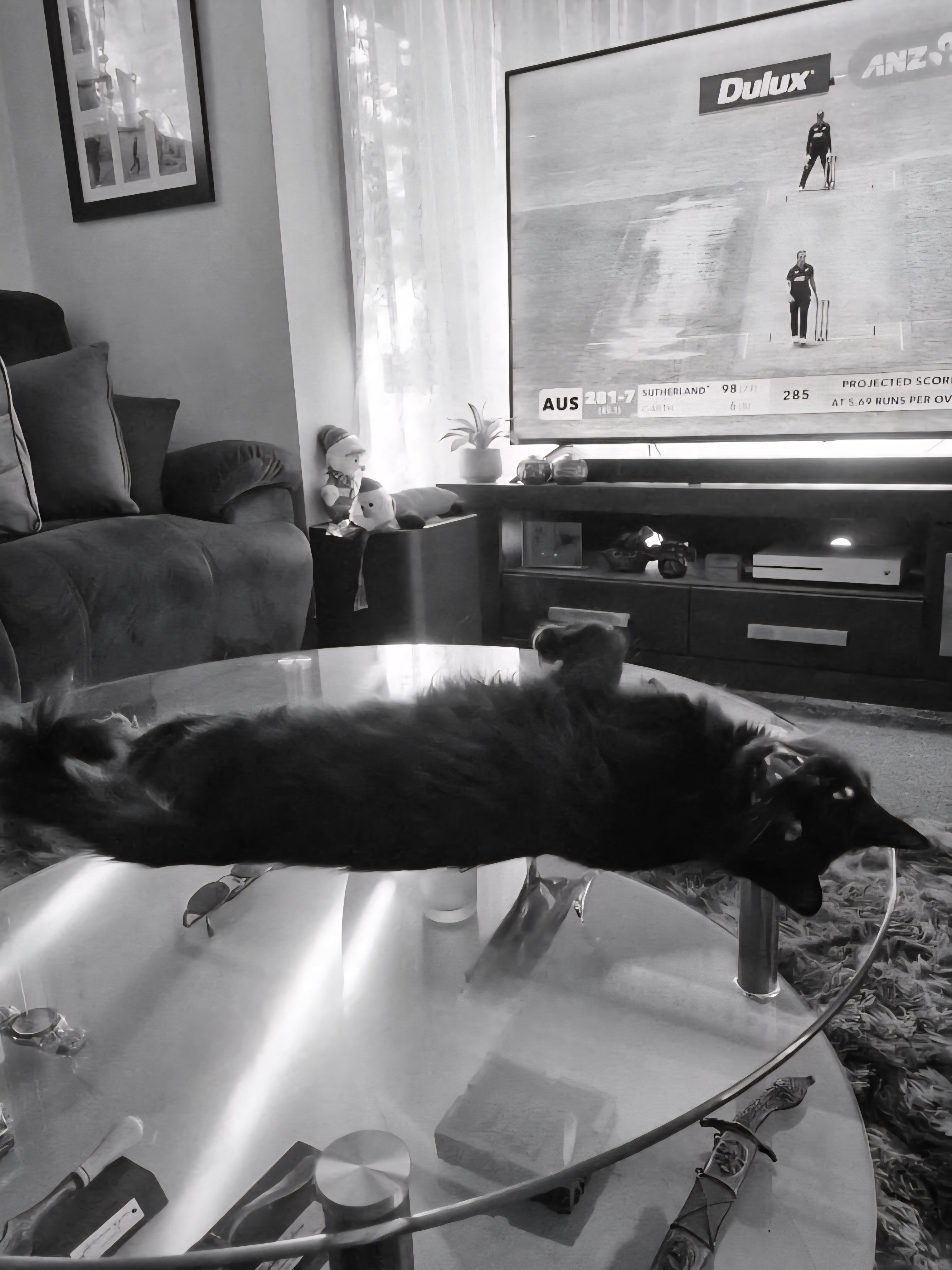 Sorry dad. This table is taken. Maybe we should go shopping for a table for you dad. It seems unfair that the cat has a table and her owner has no table. I mean c'mon dad, we need to eat as a family.