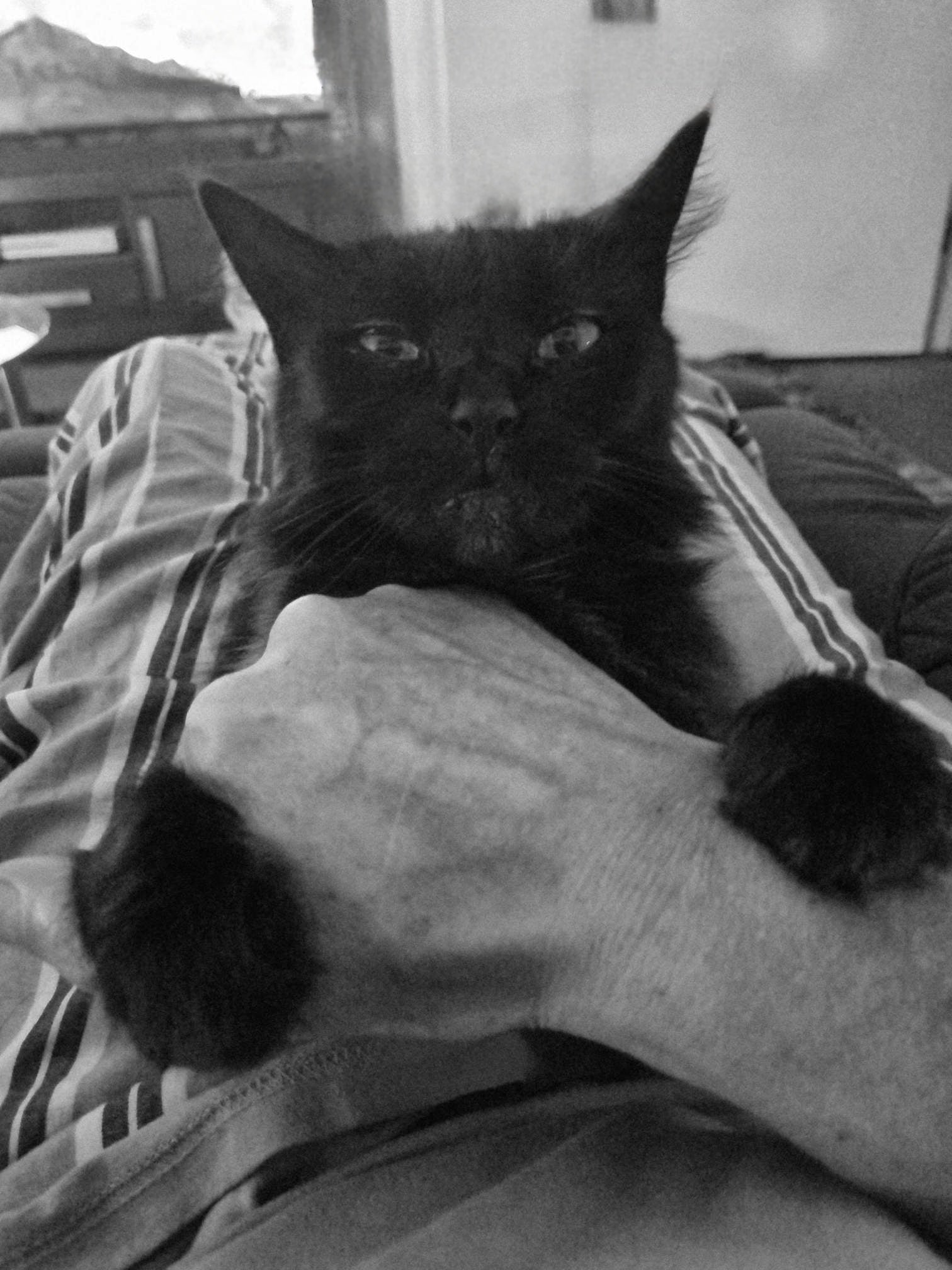 Look at my concentration. I'm holding on, with all my might.
