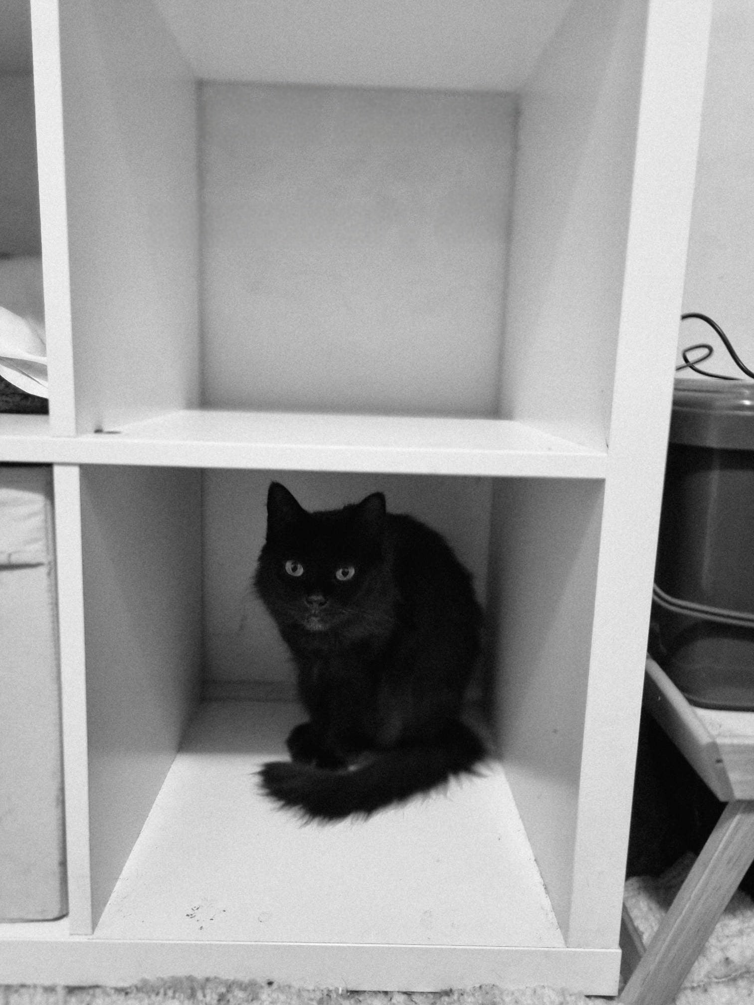 The holding cell (if she bites me), level 1R. Visitors welcome.