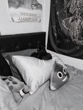 Shadow owns and sleeps on every single pillow in the house (10). She will make any space in the house, into her kingdom with her very own throne. All hail Queen Shadow..