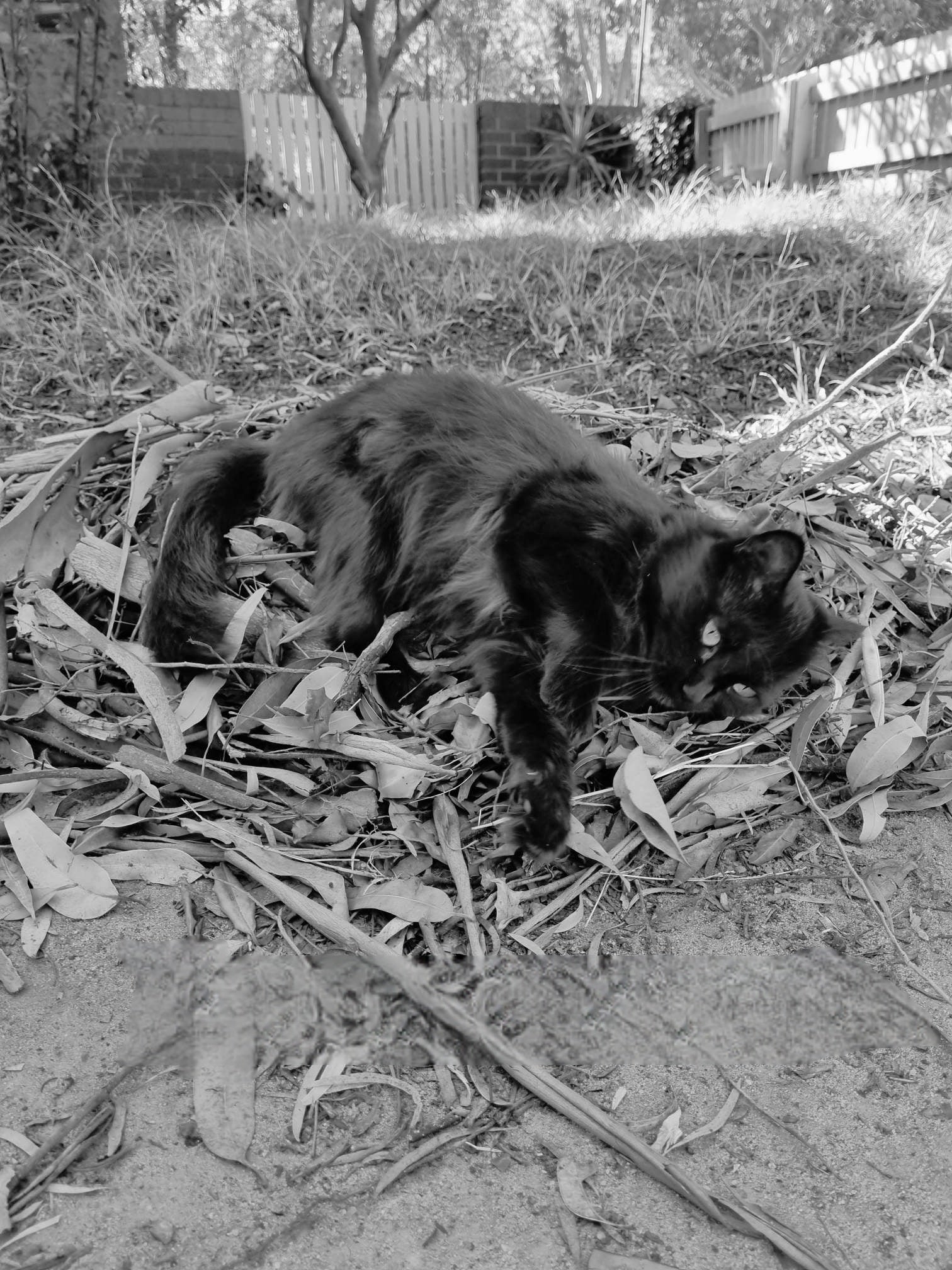 Okay dad, I made the nest. When do I learn how to fly?