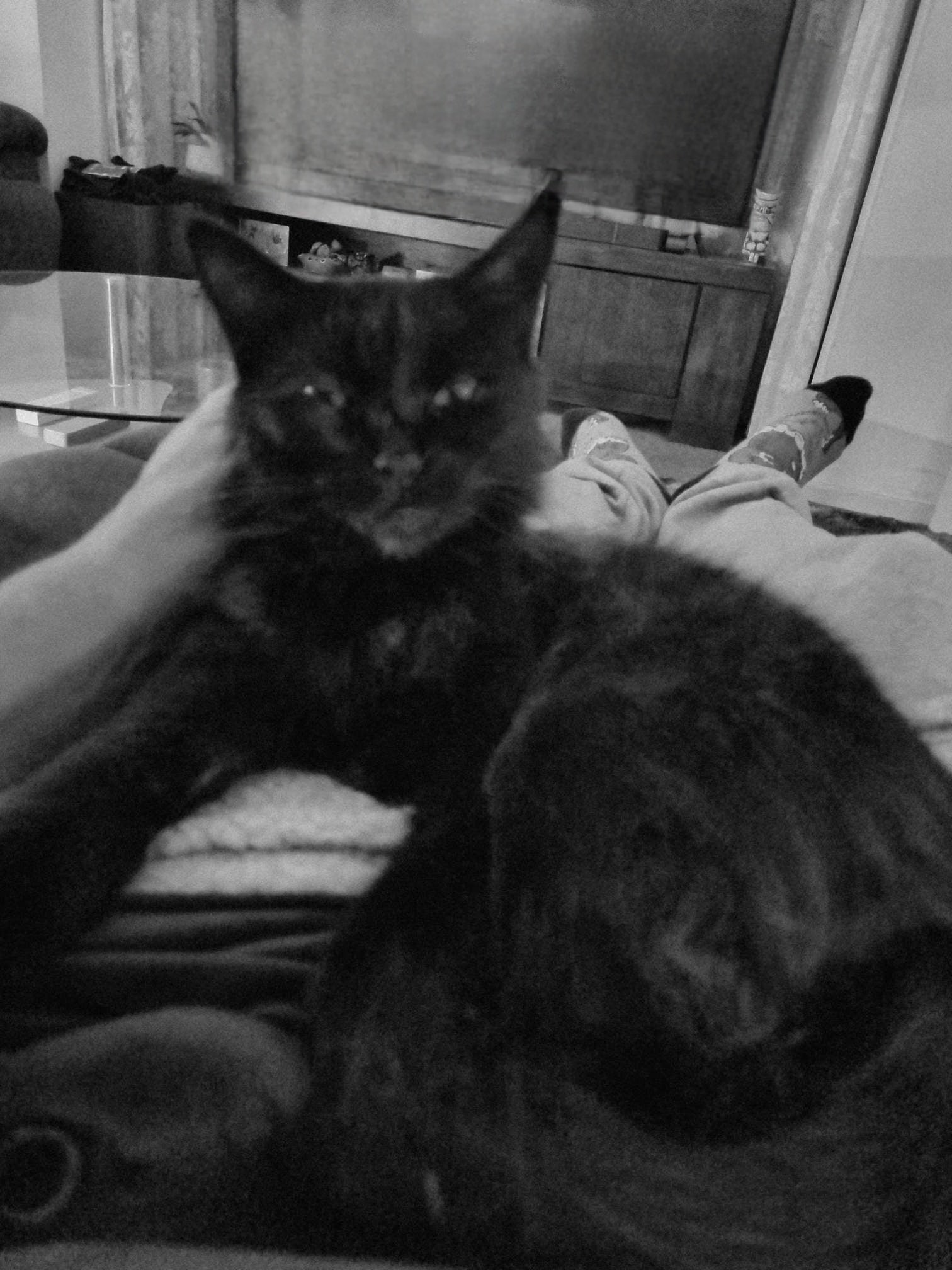I've settled in for the night dad. One 30 minute neck massage please. That's firm thanks.