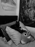 One can never have too many pillows and cushions, well and soft plushies.