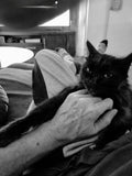 Dads chest-rubs are the absolute best. I book 90 minute chest-rub sessions every night like clockwork.