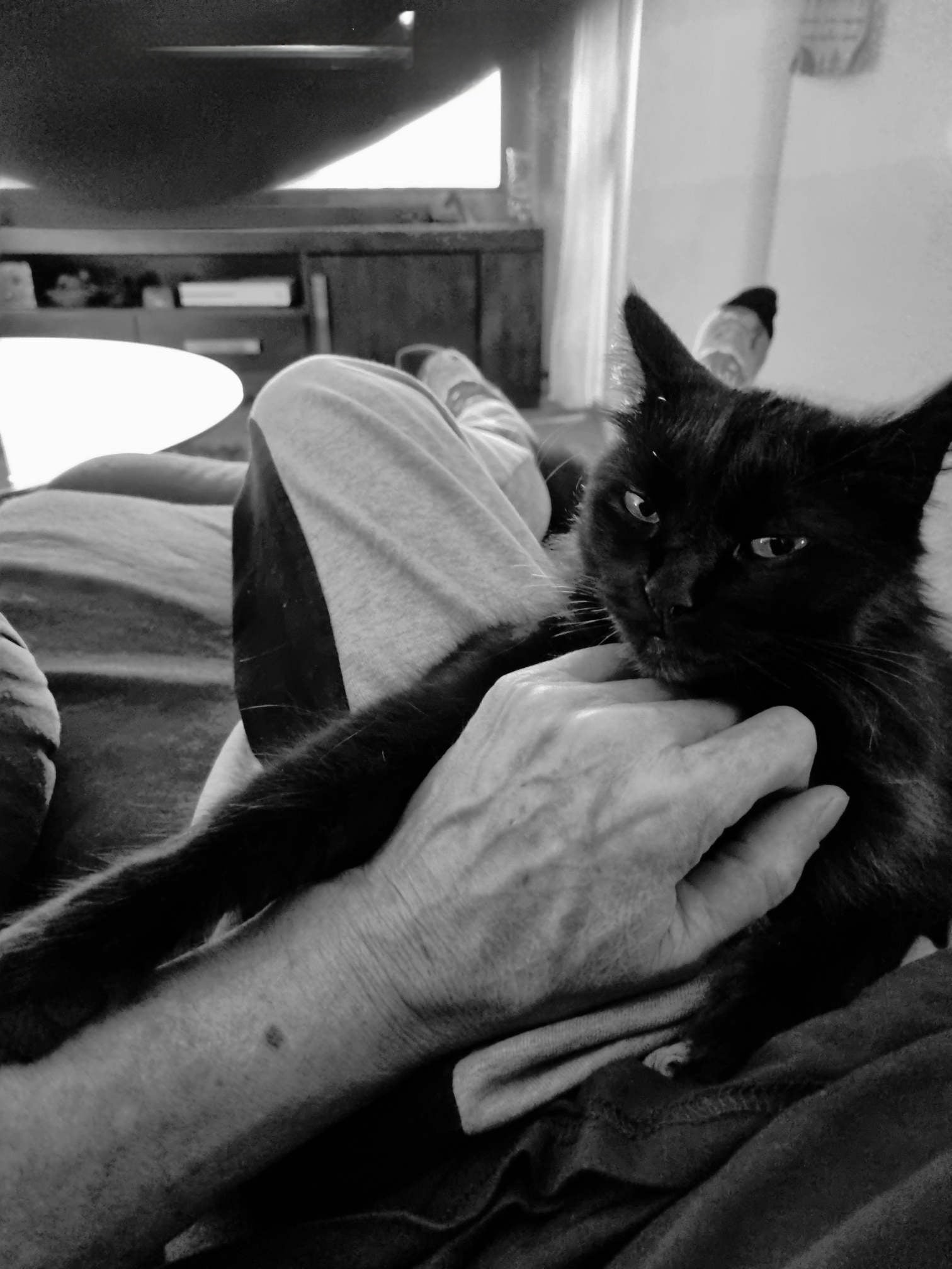 Dads chest-rubs are the absolute best. I book 90 minute chest-rub sessions every night like clockwork.