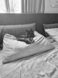 Okay..... So, I own a dozen pillows and yes, I sleep on every single one of them.
