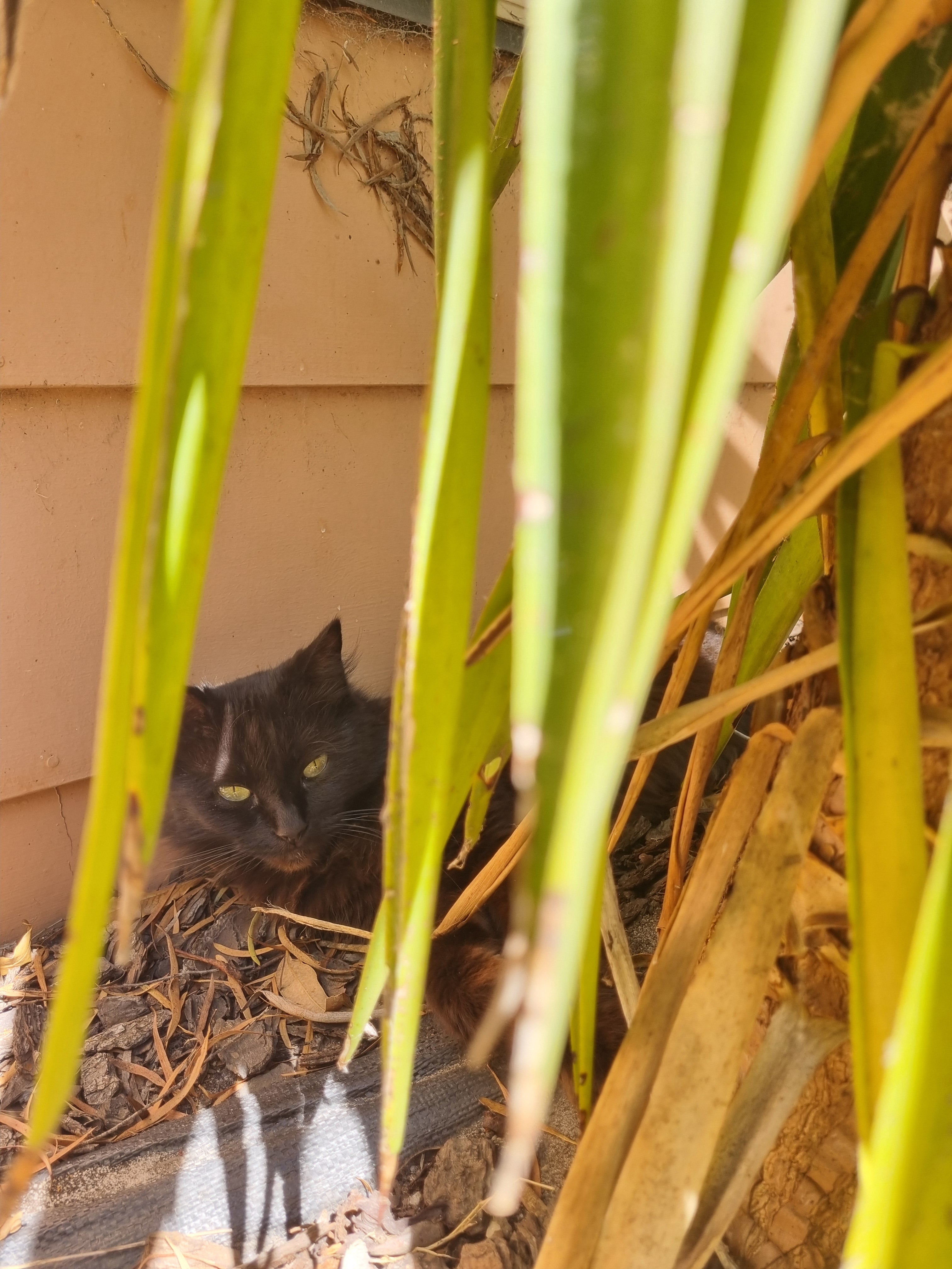 They'll never find me here. I'll just disappear.