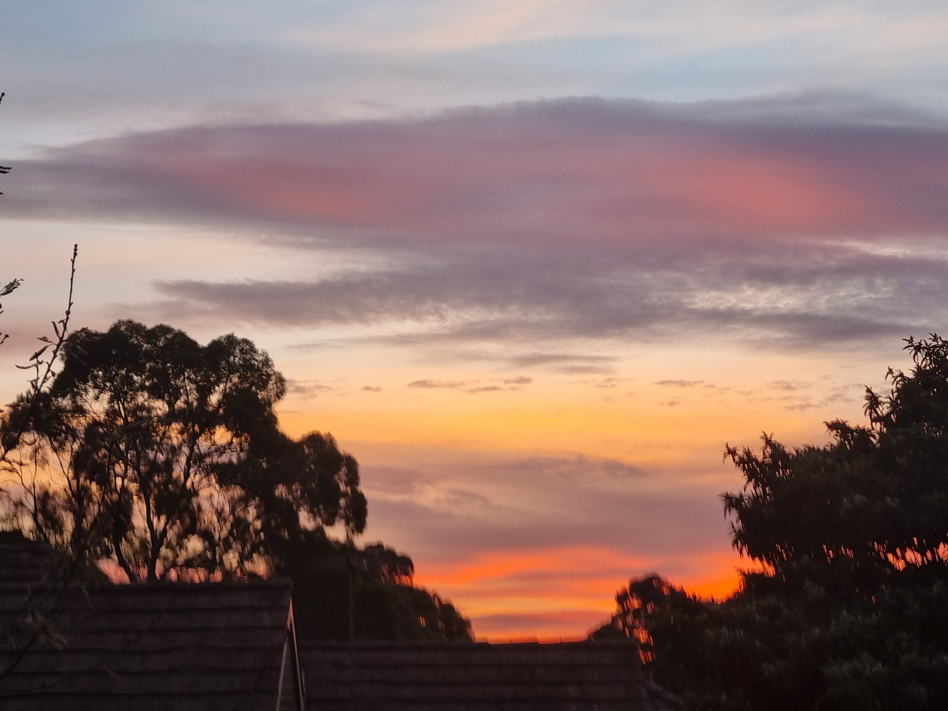 Sunset: 5.45pm. Thursday 30th of April 2026. Taken from Forest Hill Victoria Australia 🇦🇺 Home of Black Cat Shadow.