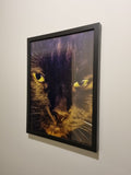 My favourite photo (framed 12 × 16 inches).