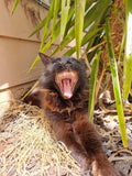 I think I'll work on my suntan today.....Yawn!!!!