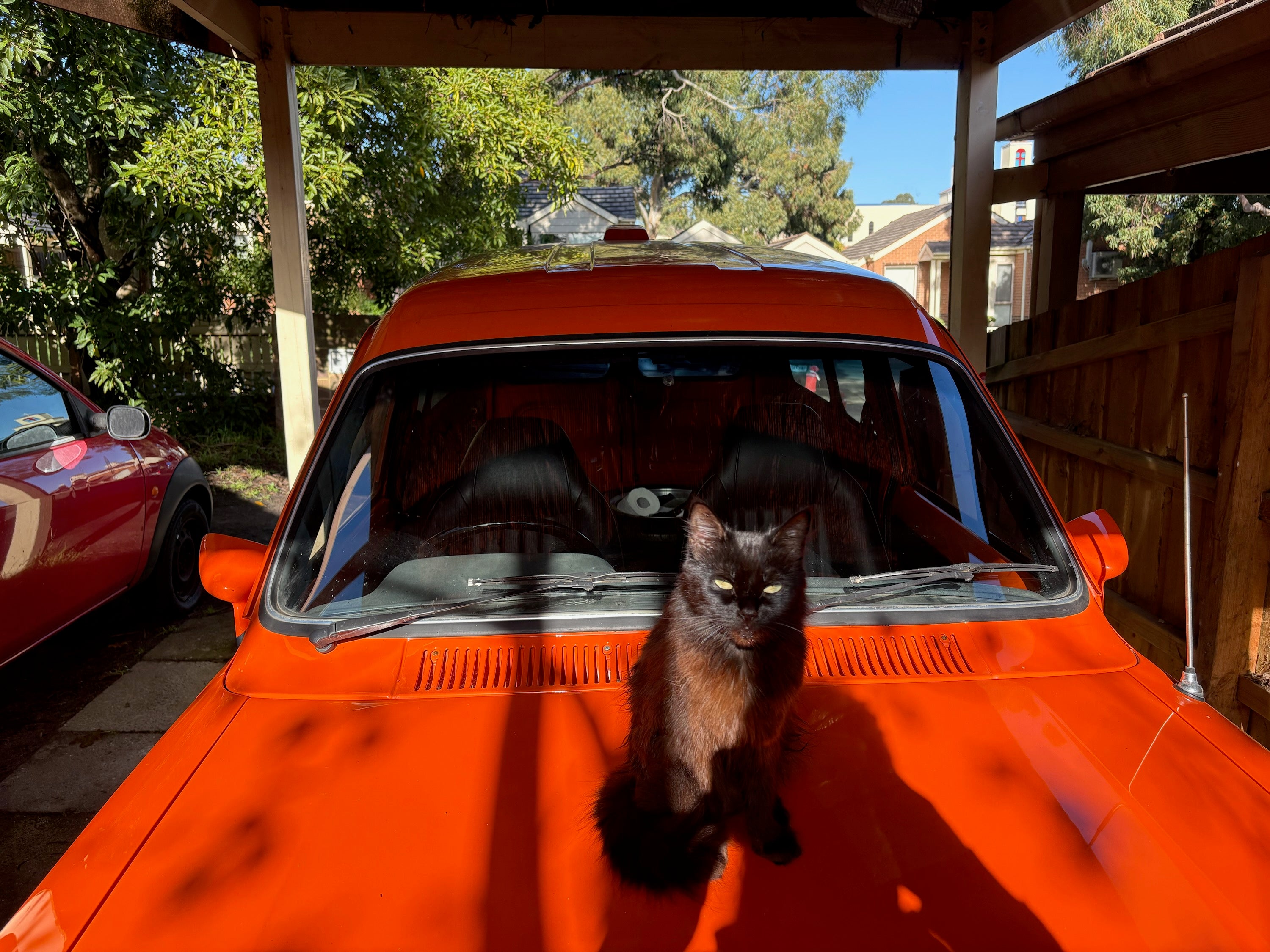 Shadow on her 1976 (50 year old) Ford Escort