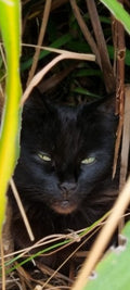 I swear, they'll never find me in here (hiding spot 36).
