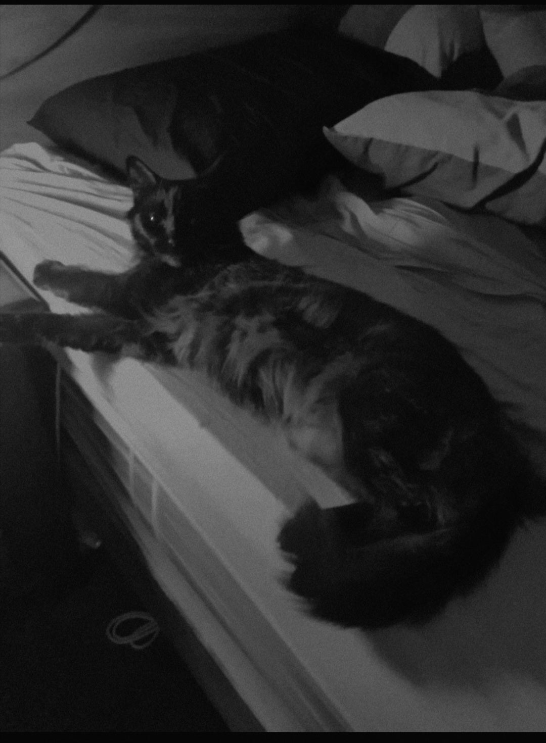 Shadows side of the bed (my bed). Well she is the love of my life ❤️
