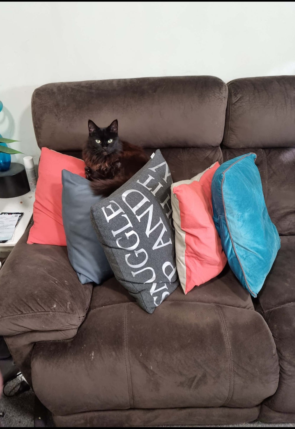 One cat can't have too many cushions. Um, as long.as your comfortable Shadow.