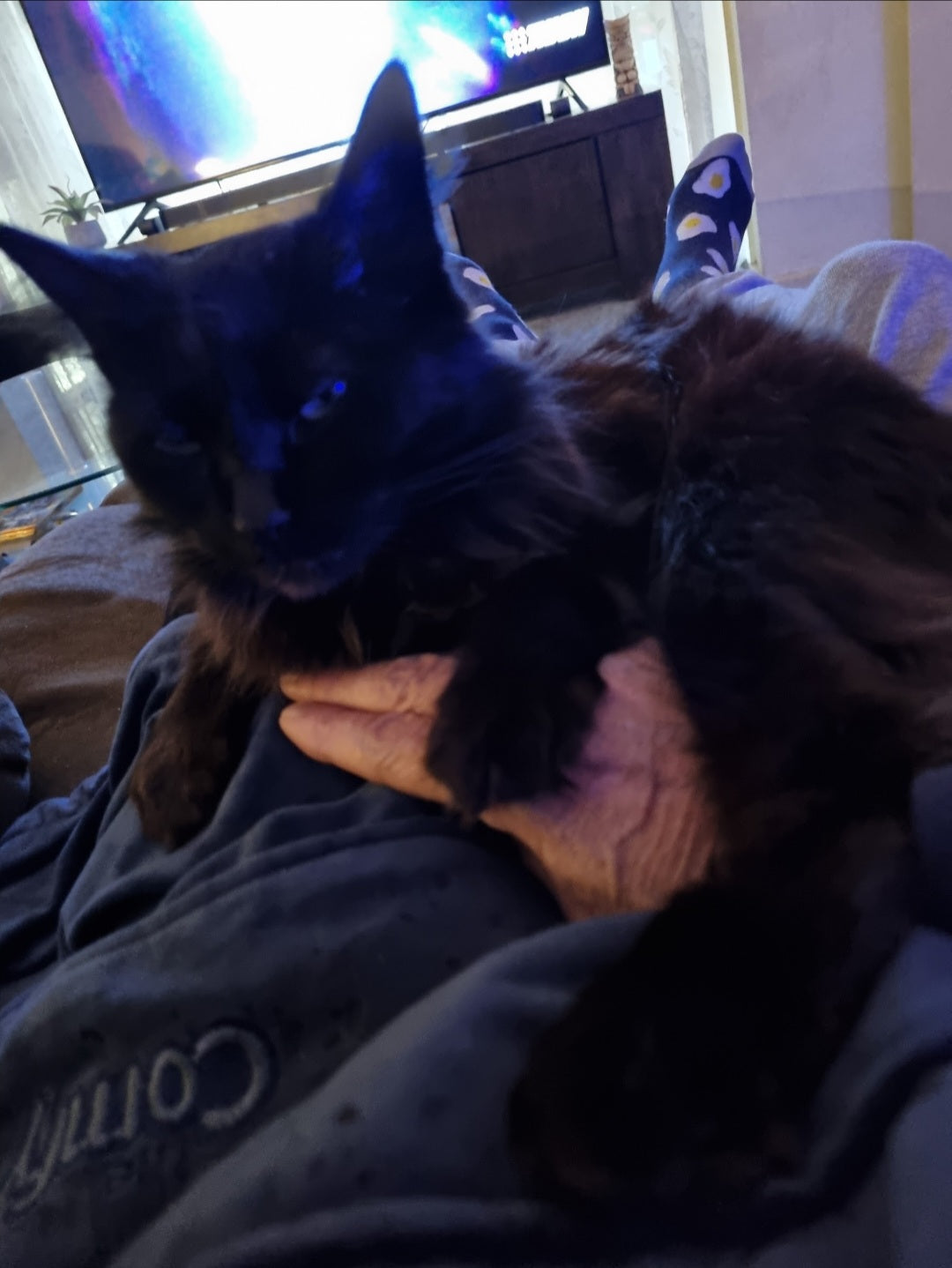 She like to hold her dads hand. It gives her a sense of security.