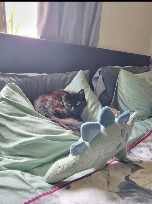 Chilling with the plushies on Liv's bed. She loves this room. When the kids go, she will spend the next 2 weeks sleeping on Liv's bed. She adores the kids and goes through withdrawals when they go back home. She has a huge heart, for a small cat.