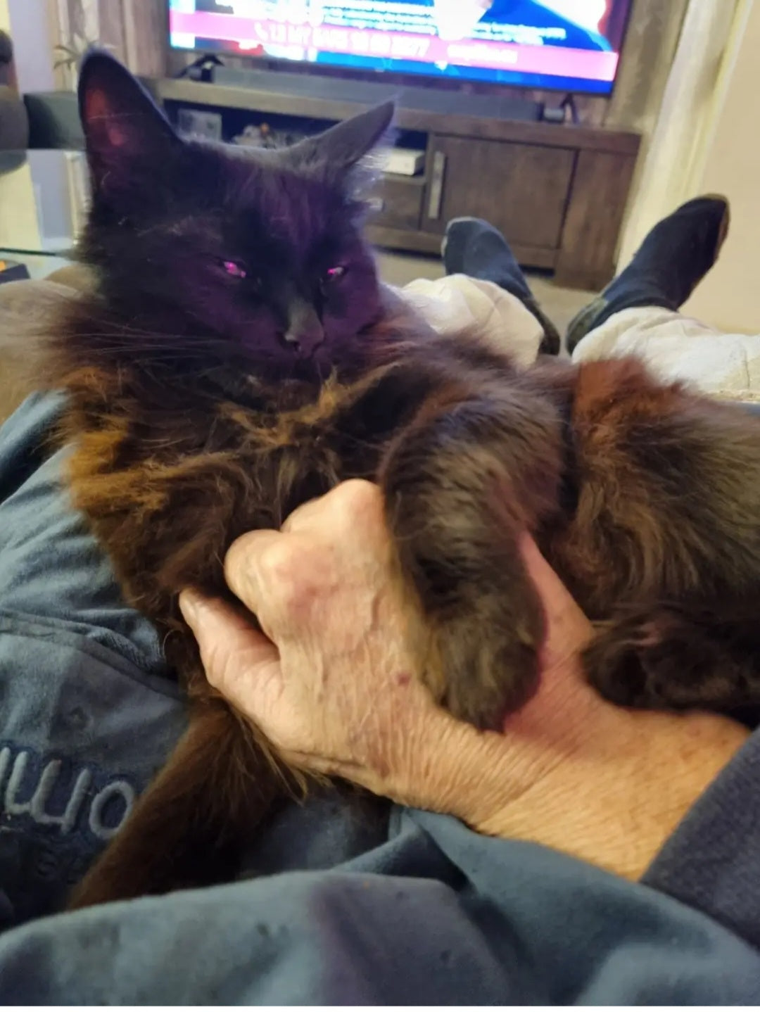 Shadow loves chest-rubs. She holds my hand down with her front and back legs, so I won't stop. When it comes to affection, Shadow can be very demanding.