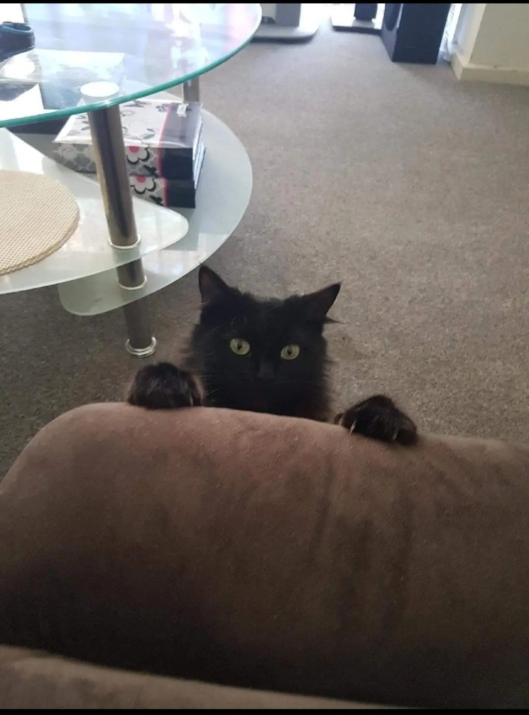 Peekaboo. I found you daddy. Do I look extremely cute, or what?