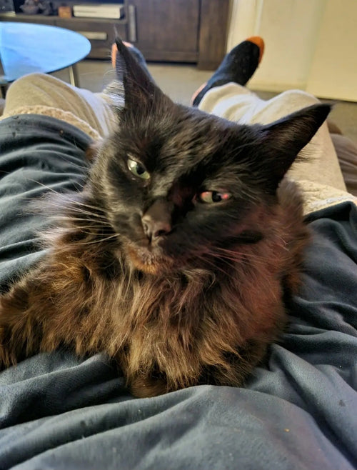 Daddy?     I only have eyes 👀 for you.