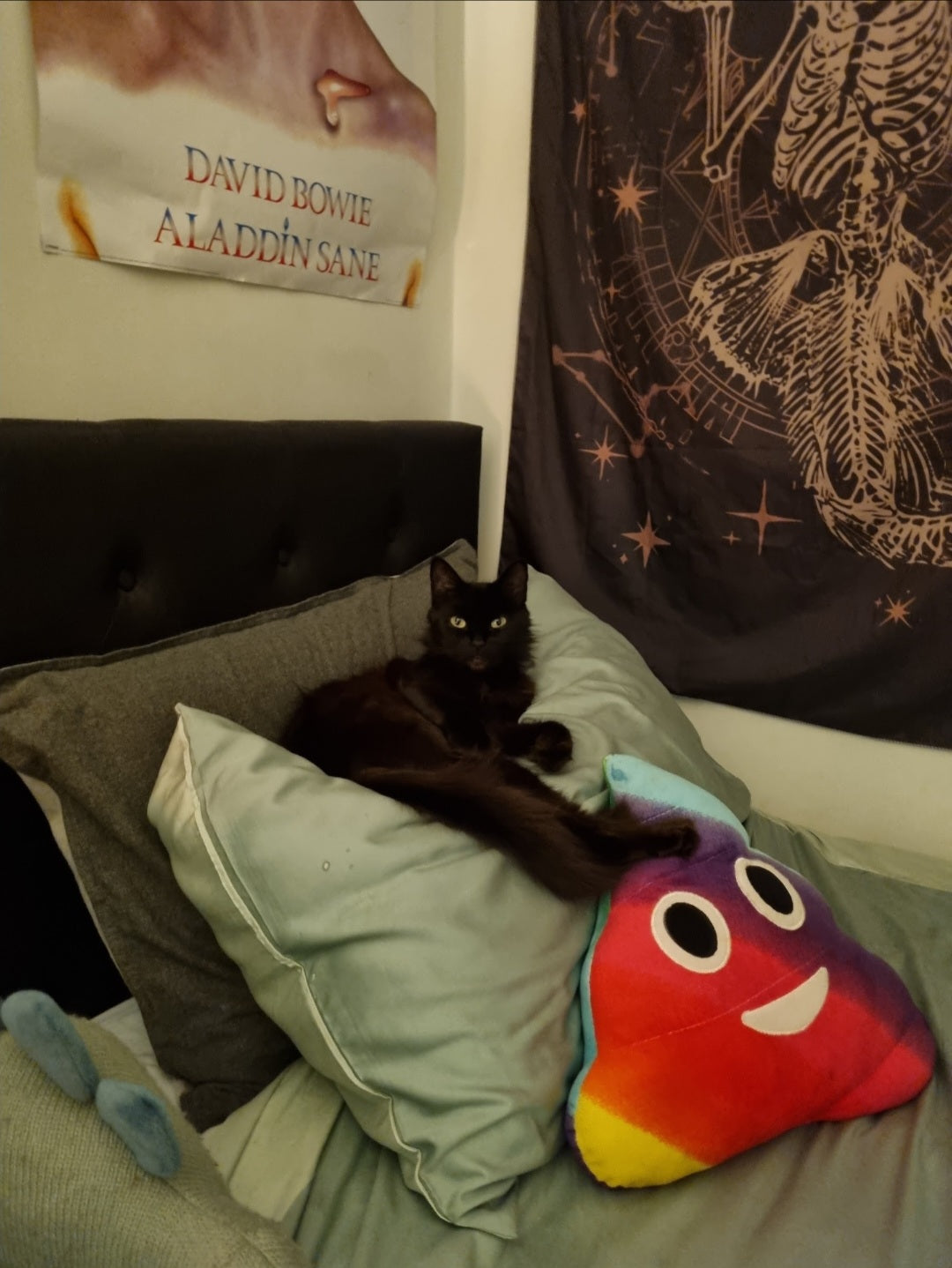 One can never have too many pillows and cushions, well and soft plushies.