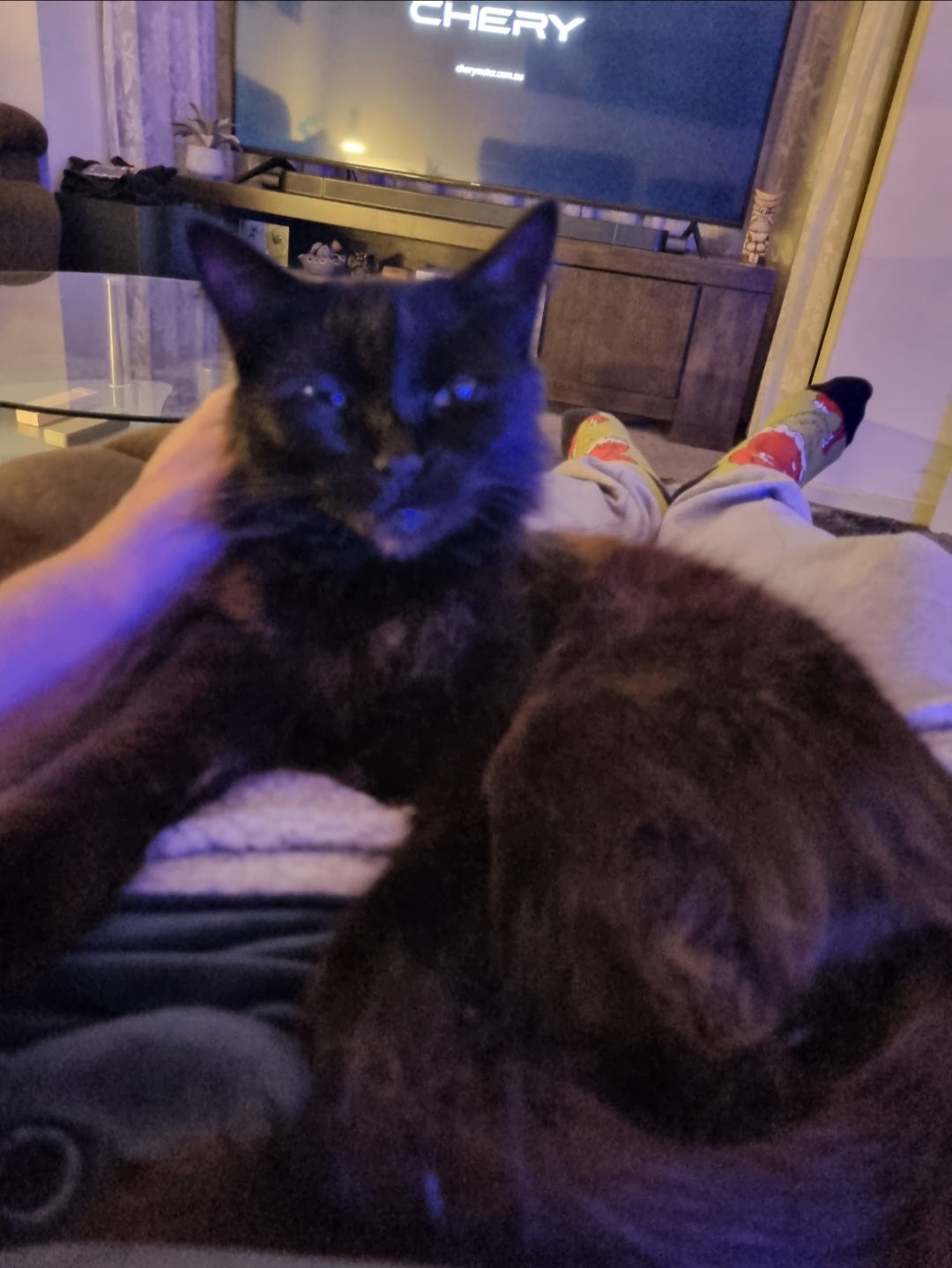 I've settled in for the night dad. One 30 minute neck massage please. That's firm thanks.