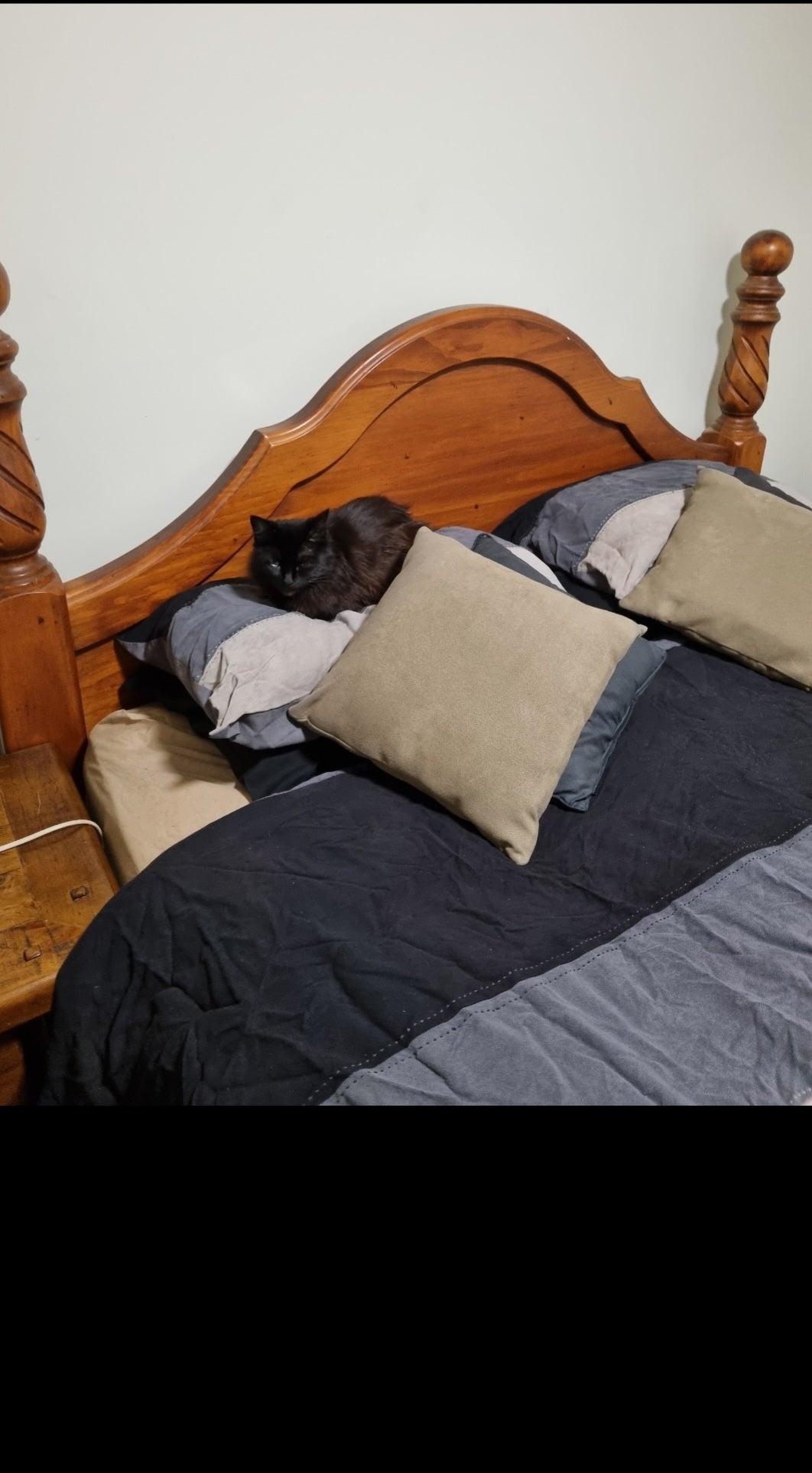 Every evening Shadow waits for me to go to bed. When I do, she kisses my nose for 5 minutes and then plays the roll of the little spoon and snuggles into my chest, with her head up near my pillow. She thinks she's my wife.
