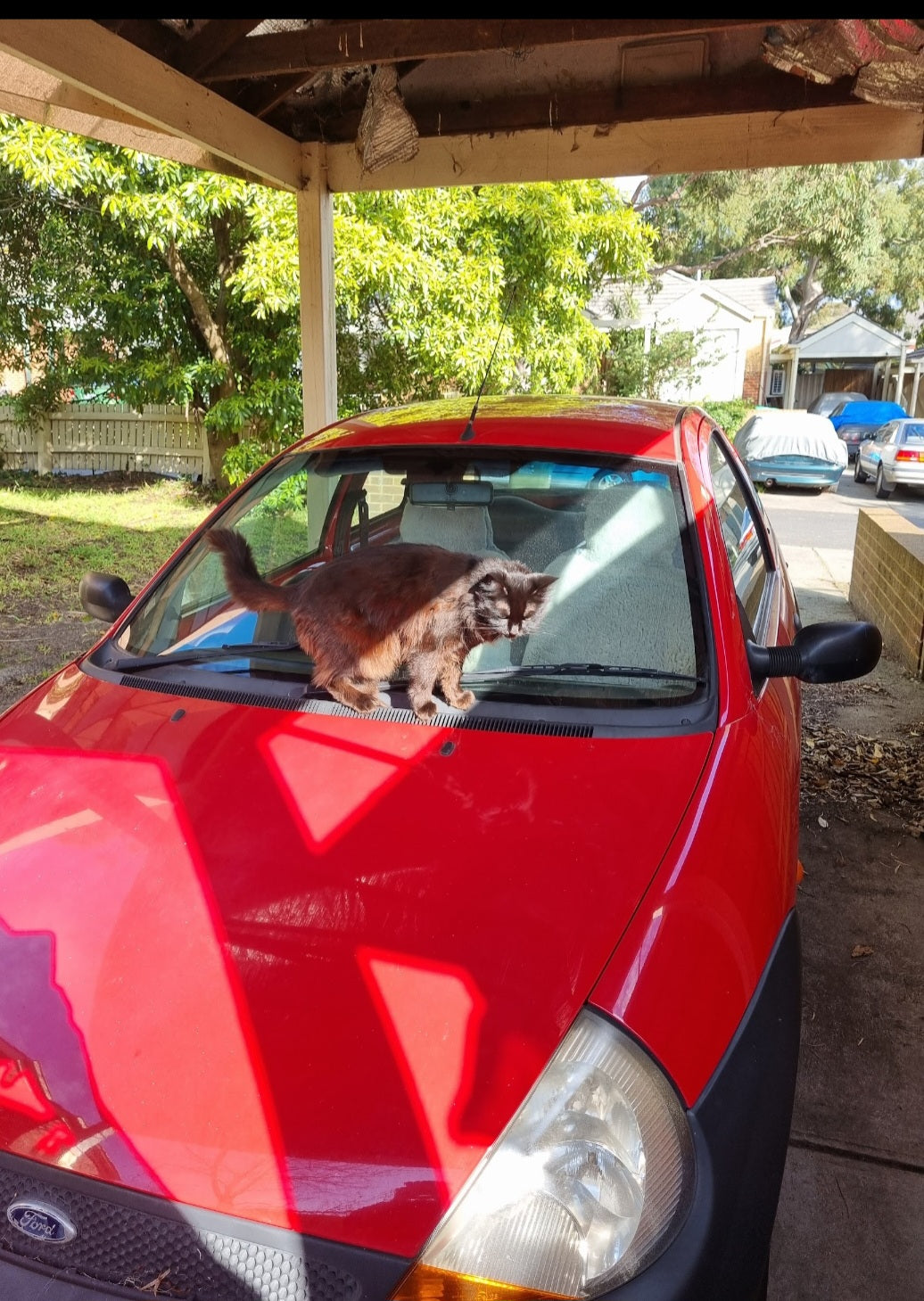 Need a lift to Far North Queensland. Want to go for a cat walk at the 180 million year old Daintree Rainforest. We love nature at it's best.