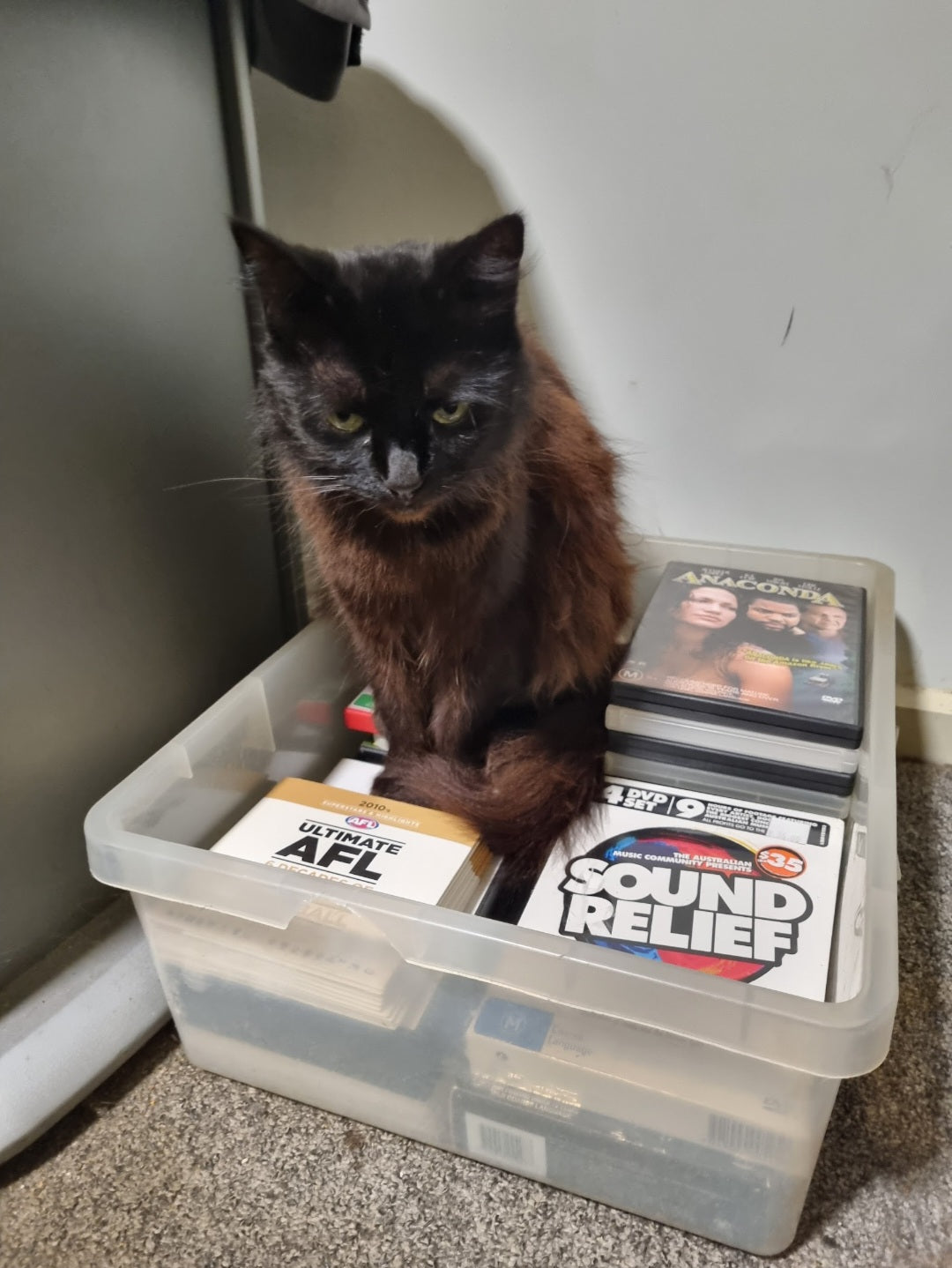 I'll protect all your dvd's dad. They are now worth $1 each and I will guard and protect these ancient artefacts from the dark side of the force.