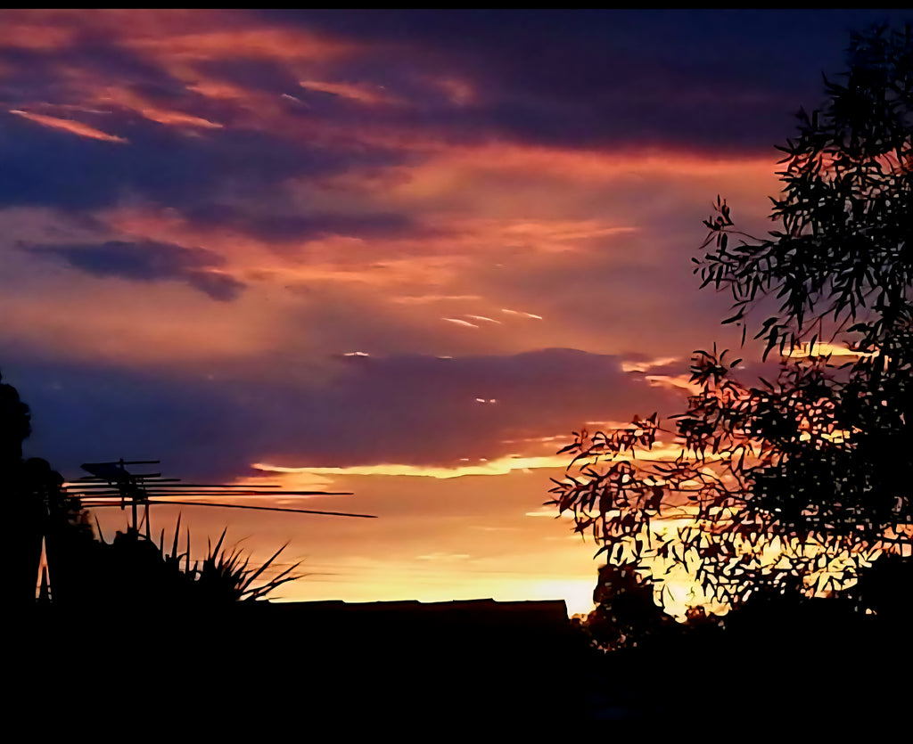 Sunset on the back porch with Shadow. Mother nature at it's best.