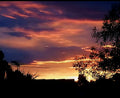 Sunset on the back porch with Shadow. Mother nature at it's best.