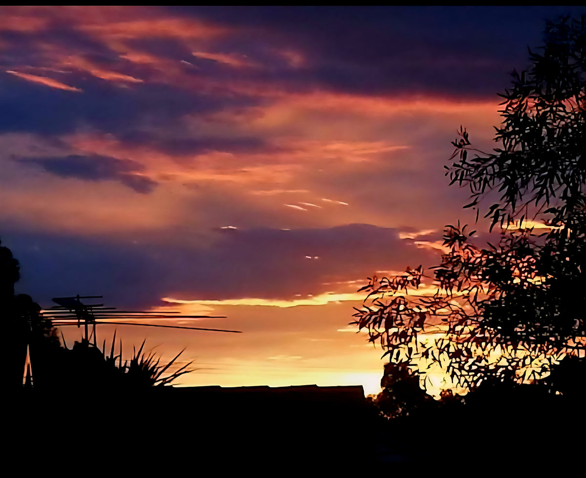 Sunset on the back porch with Shadow. Mother nature at it's best.