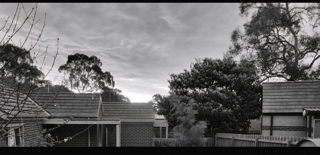 Sunset at Shadows house. 20th of September 2026. Forest Hill Victoria Australia  🇦🇺