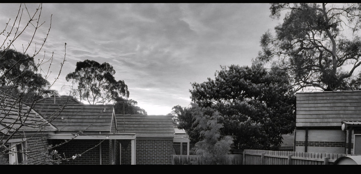 Sunset at Shadows house. 20th of September 2026. Forest Hill Victoria Australia  🇦🇺