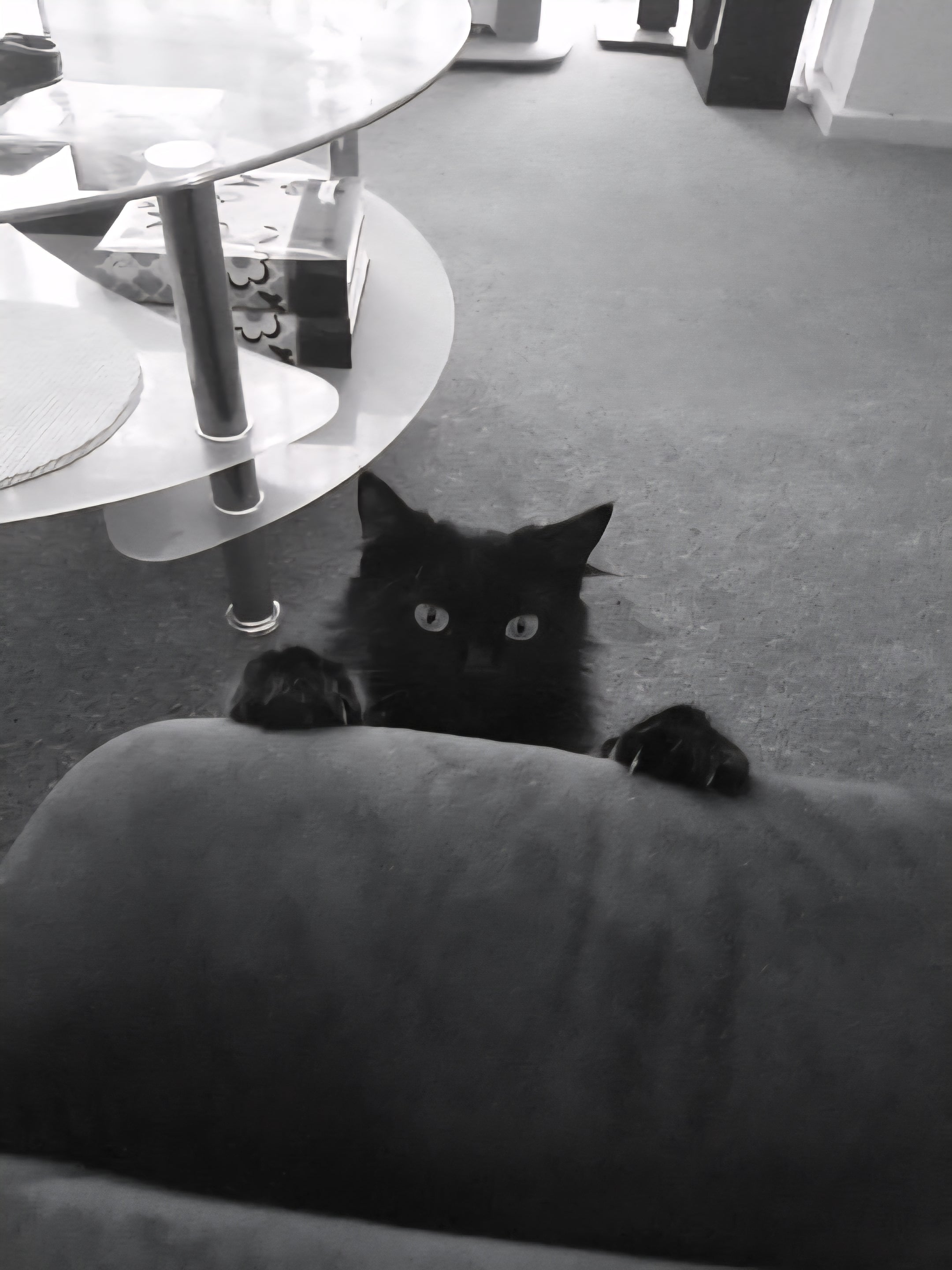 Peekaboo. I found you daddy. Do I look extremely cute, or what?